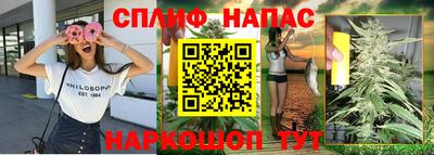 сатива Кинель