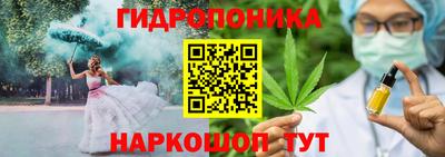 сатива Кинель