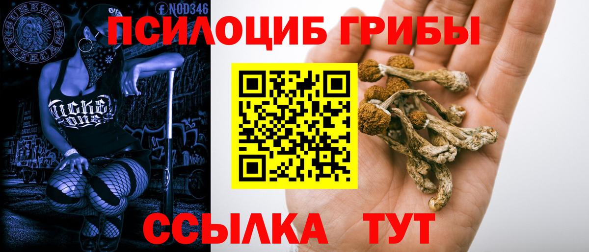 наркошоп  Галлюциногенные грибы GOLDEN TEACHER  Вход с VPN  Азов 